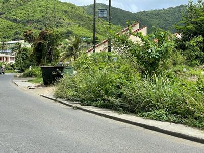 Eyesore! Taxi driver says BVI landscape not ready for tourists