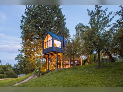 This Prefab Tree House Took Just 8 Days to Assemble