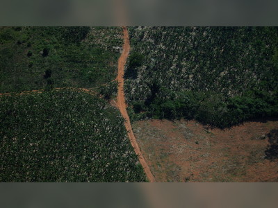 Environmental activists take Brazilian president Bolsonaro to ICC over ‘crimes against humanity’ for destruction of Amazon
