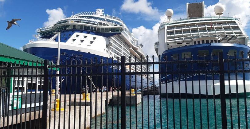 CEHO Dispels Rumors: No COVID-19 Cases Aboard Cruise Ships