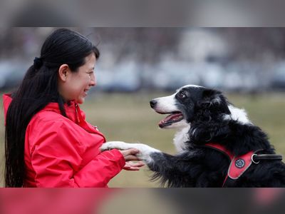You talkin' to me? Dogs can identify different languages, study finds