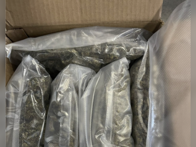 HM Customs intercepts $34K marijuana shipment from US