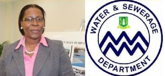 VI looking to identify & revive old water sources – Perline R. Scatliffe-Leonard