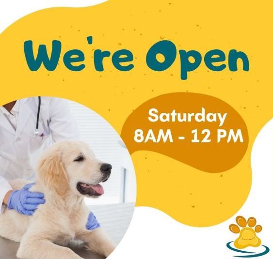 Veterinary clinic ‘Happy Pets’ Vet’ officially opens in VI April 5, 2022