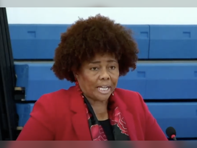 BVI leaders attacked lone voices in the wilderness — Flax Charles