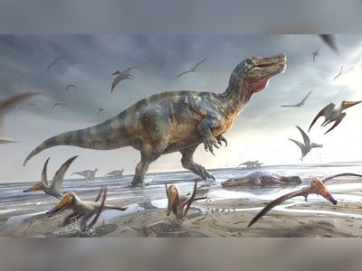 Europe's 'largest ever' land dinosaur found on Isle of Wight
