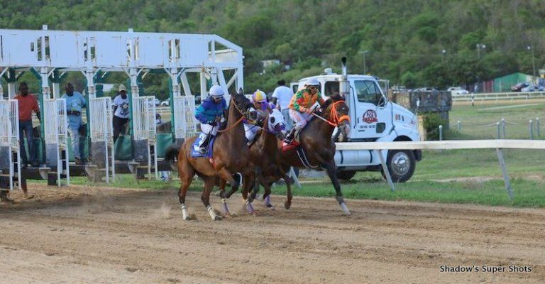 COME ON VENEZUELA wins feature event at August Tuesday Races