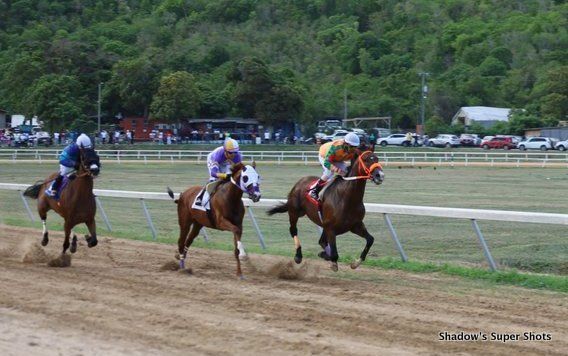 COME ON VENEZUELA wins feature event at August Tuesday Races