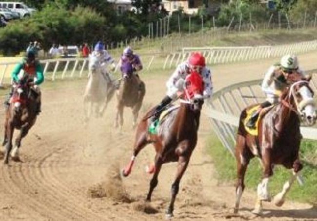Feature horse race today a VI vs USVI affair!