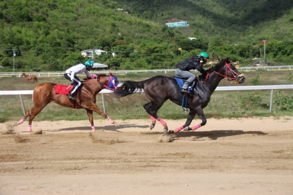 Smith suggests moving horse racing events to Anegada