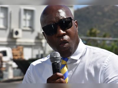 Walwyn pushes back on govt’s ‘free’ Toad Hall Estate acquisition