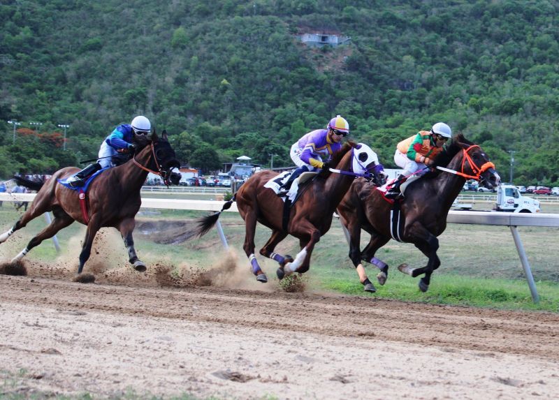 Horse races scheduled for today postponed