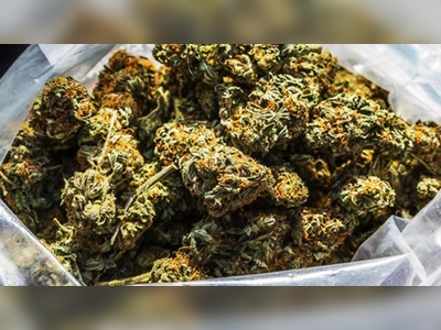 28-yr-old charged for possession of weed