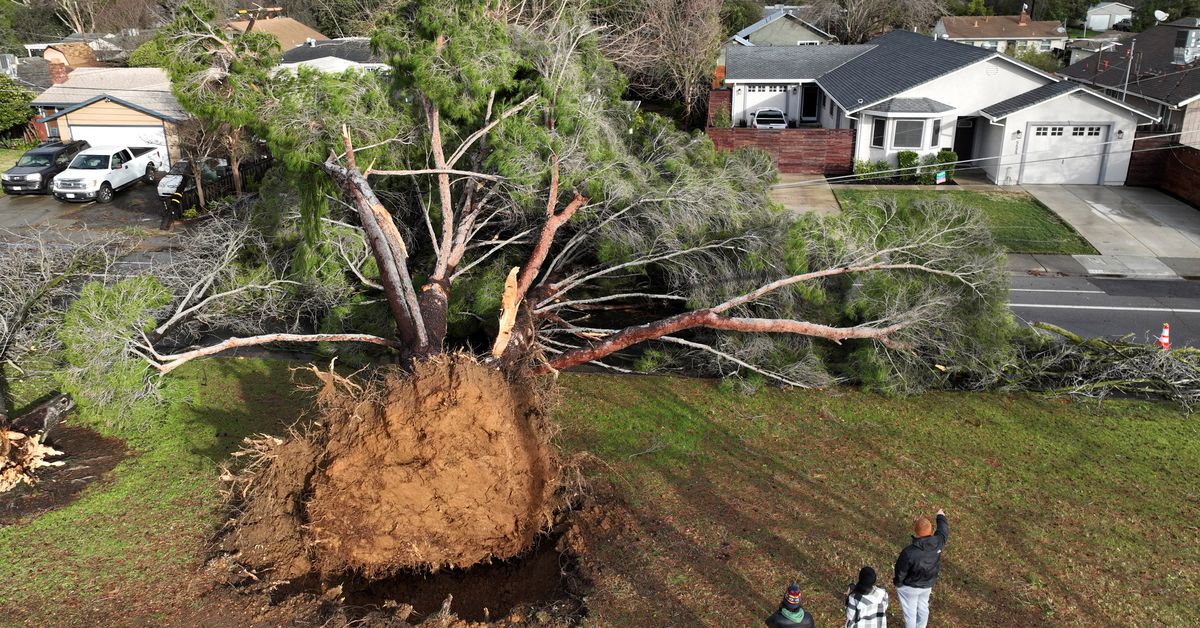 California braces for 'parade of cyclones' after storms kill 12