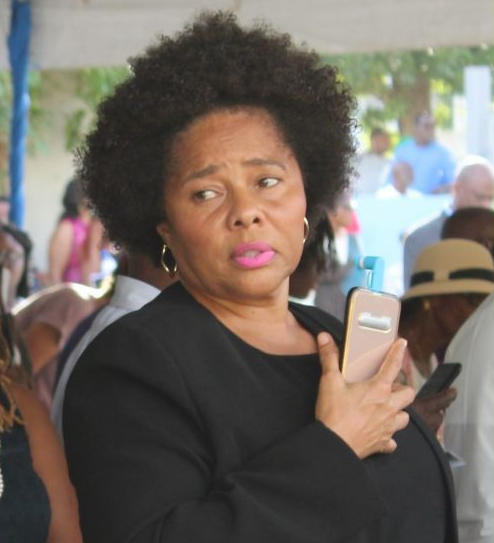 'I had many concerns' with Skelton-Cline's contracts– Hon Flax-Charles