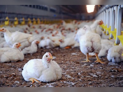 Registered farmer gets Customs exemption for poultry production