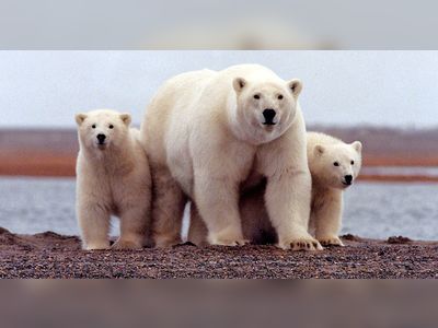 Biden administration approves Willow oil project in Alaska