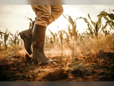 St Croix farmers severely impacted by 'extreme' drought