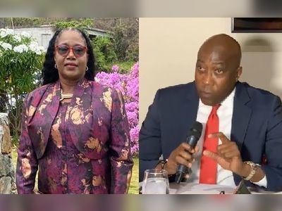 Hon Maduro-Caines blasts Walwyn as only contributing paint to D6 over the years