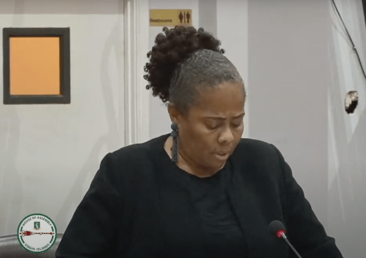 BVI Love campaign was a political gimmick — Flax-Charles