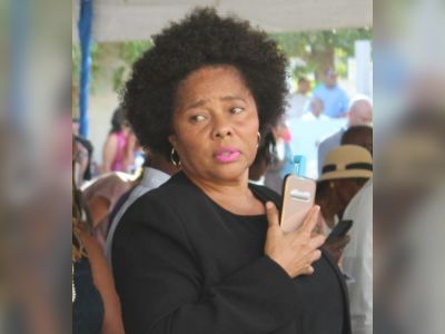Fmr Legislator Shereen D. Flax Charles says D9 Action Group is ‘not anti-Gov't’