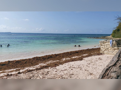 Government of Virgin Islands Hosts Training Workshop to Address Sargassum Seaweed Invasion