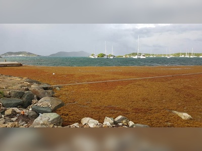 Government of British Virgin Islands Holds Workshop to Address Sargassum Seaweed Influx in the Caribbean