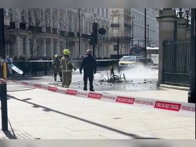 Electric rickshaw bursts into flames near Buckingham Palace