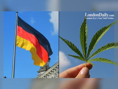 Cannabis users 'will have a new place within our society': Germany prepares to legalise home cultivation