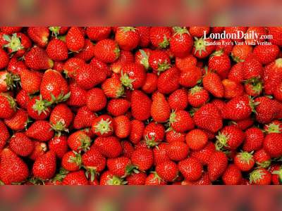 More than Half of Food and Drinks Contain 'Forever Chemicals': Strawberries Worse Affected